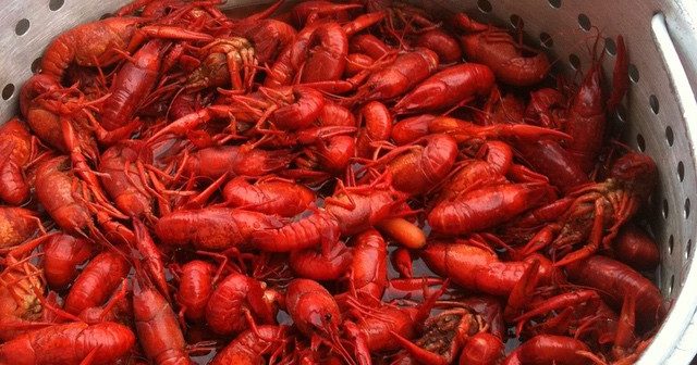 Crawfish Hole | Visit College Station